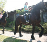 Frederica Equestrian Center Photo Gallery
