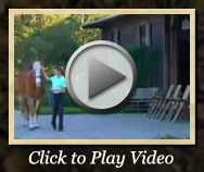 Equestrian Center video